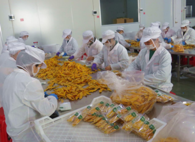 龍海市正豐食品的崛起之路 打造食品行業(yè)的名牌產品
